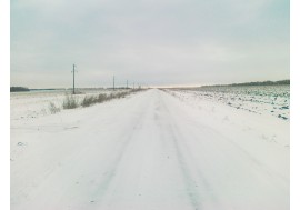 Зимняя дорога вдаль. Вокруг поле, слева столбы. На горизонте и паралельно дороге видны лесопосадки.
