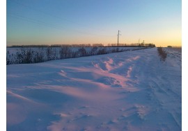 Дорога полностью в снегу, зима пришла в Харьков. Видно заснеженную дорогу, поле и лесопосадку вдали